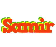 Samir bbq logo