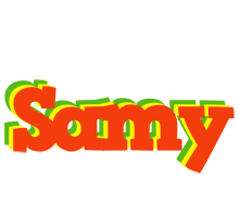 Samy bbq logo