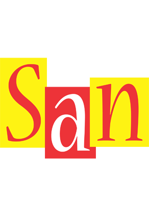 San errors logo