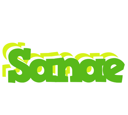 Sanae picnic logo