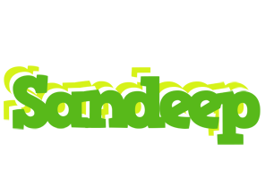 Sandeep picnic logo