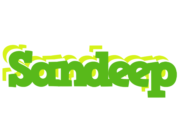 Sandeep picnic logo