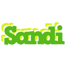 Sandi picnic logo