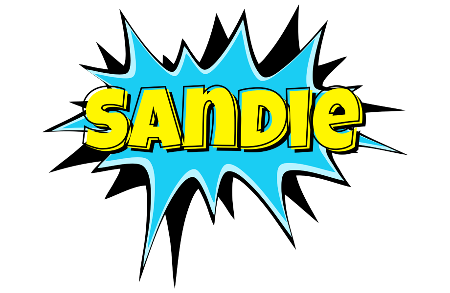 Sandie amazing logo