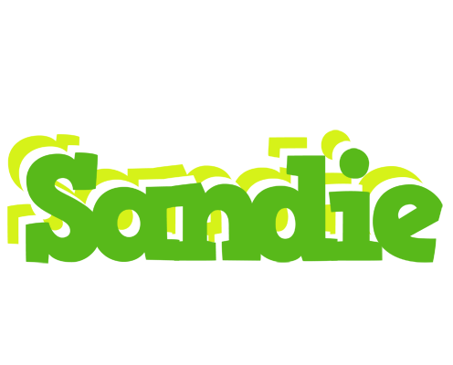 Sandie picnic logo