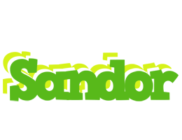 Sandor picnic logo