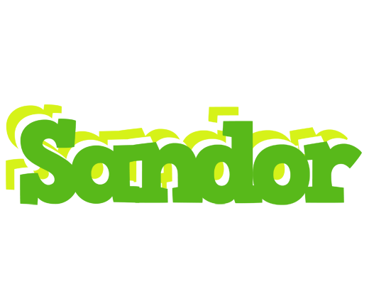Sandor picnic logo