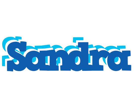 Sandra business logo