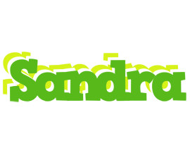 Sandra picnic logo