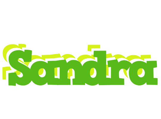 Sandra picnic logo