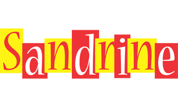 Sandrine errors logo