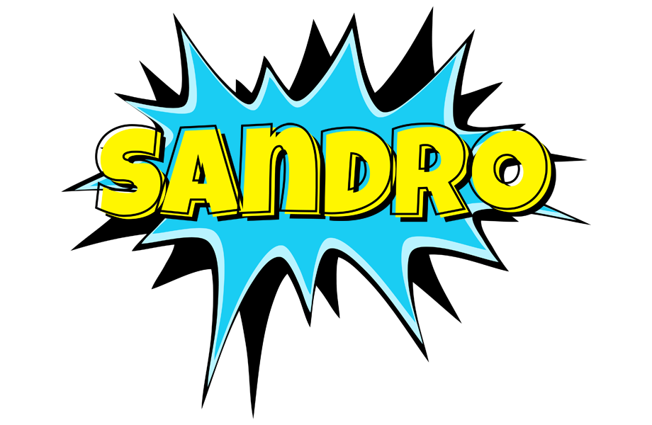 Sandro amazing logo