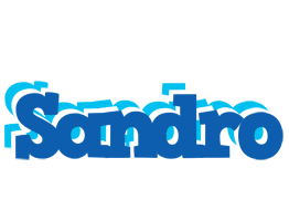 Sandro business logo