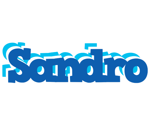 Sandro business logo