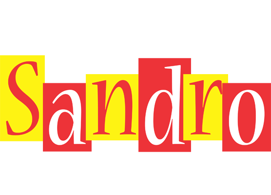 Sandro errors logo
