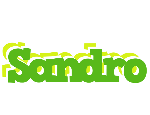 Sandro picnic logo