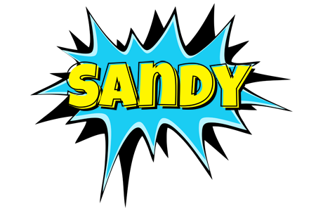 Sandy amazing logo