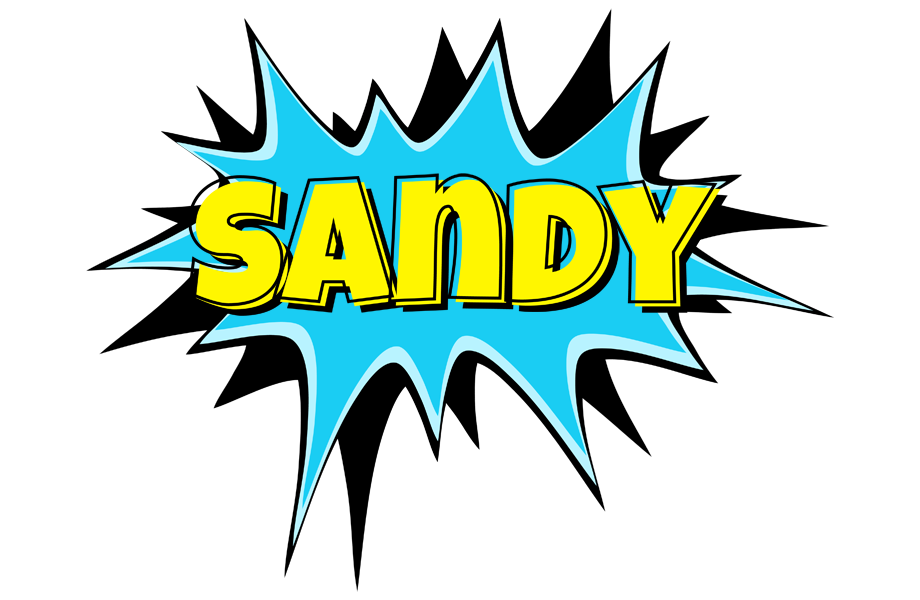 Sandy amazing logo