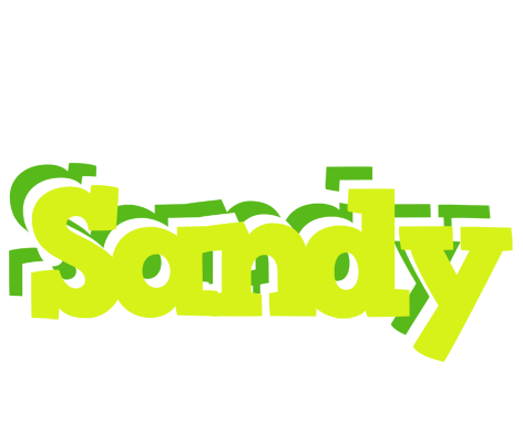 Sandy citrus logo