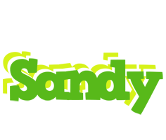 Sandy picnic logo