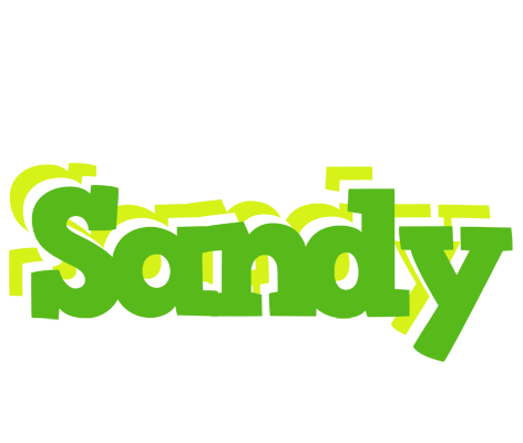 Sandy picnic logo