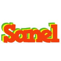 Sanel bbq logo