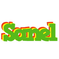 Sanel crocodile logo