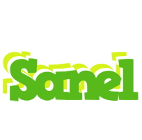 Sanel picnic logo