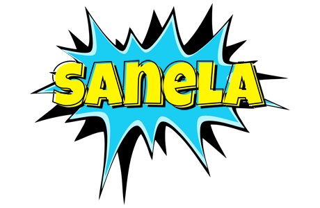 Sanela amazing logo