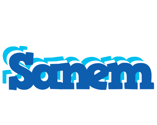 Sanem business logo