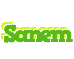 Sanem picnic logo