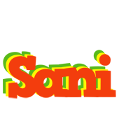 Sani bbq logo