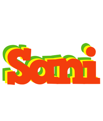 Sani bbq logo