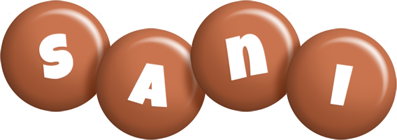 Sani candy-brown logo