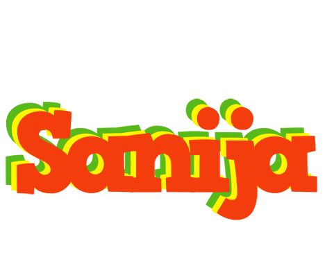 Sanija bbq logo