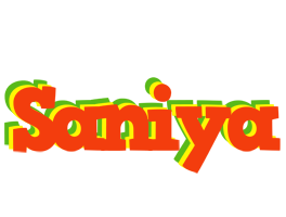 Saniya bbq logo