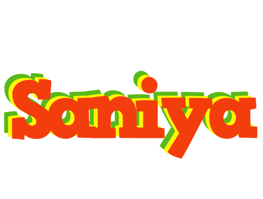 Saniya bbq logo