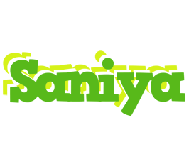 Saniya picnic logo