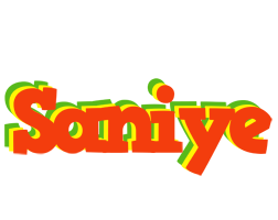 Saniye bbq logo