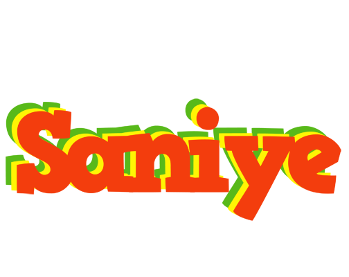 Saniye bbq logo
