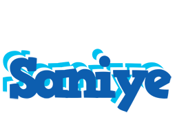 Saniye business logo