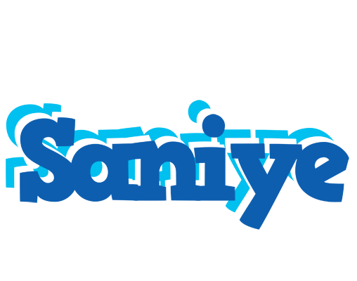 Saniye business logo