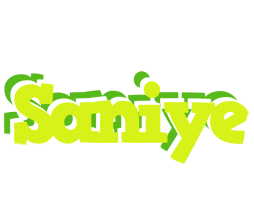 Saniye citrus logo