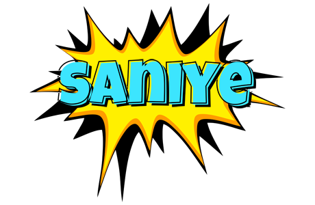 Saniye indycar logo