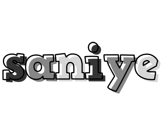 Saniye night logo