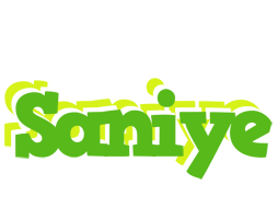 Saniye picnic logo