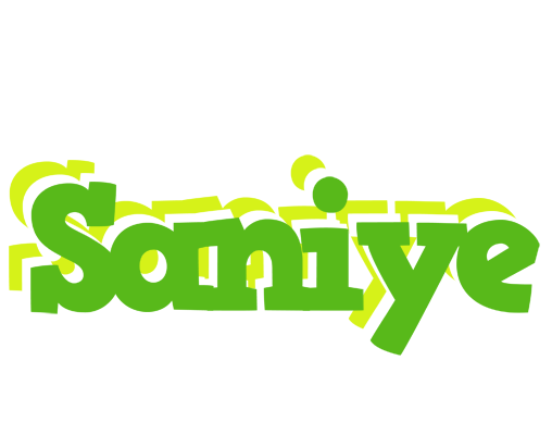 Saniye picnic logo
