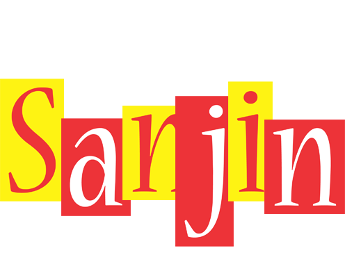 Sanjin errors logo