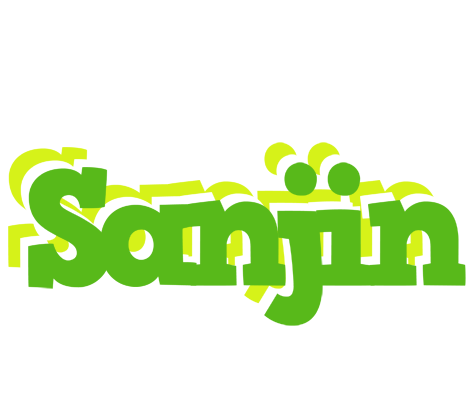 Sanjin picnic logo