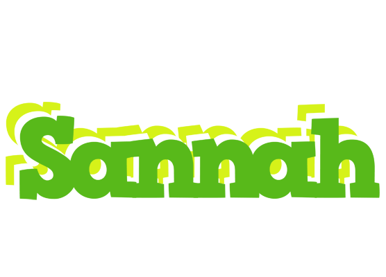 Sannah picnic logo